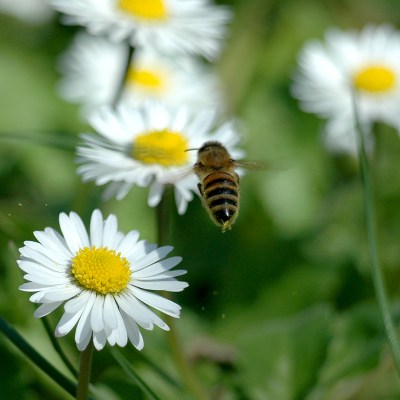 Work [Explored], by Riccardo Cuppini, Flickr