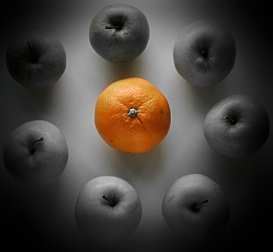 Individuality !, Craig Sunter - Thanx 2 Mil..., Flickr